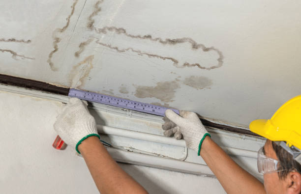 Reliable Mold Remediation contractor in Rutland, MA by Local Water Damage Repair